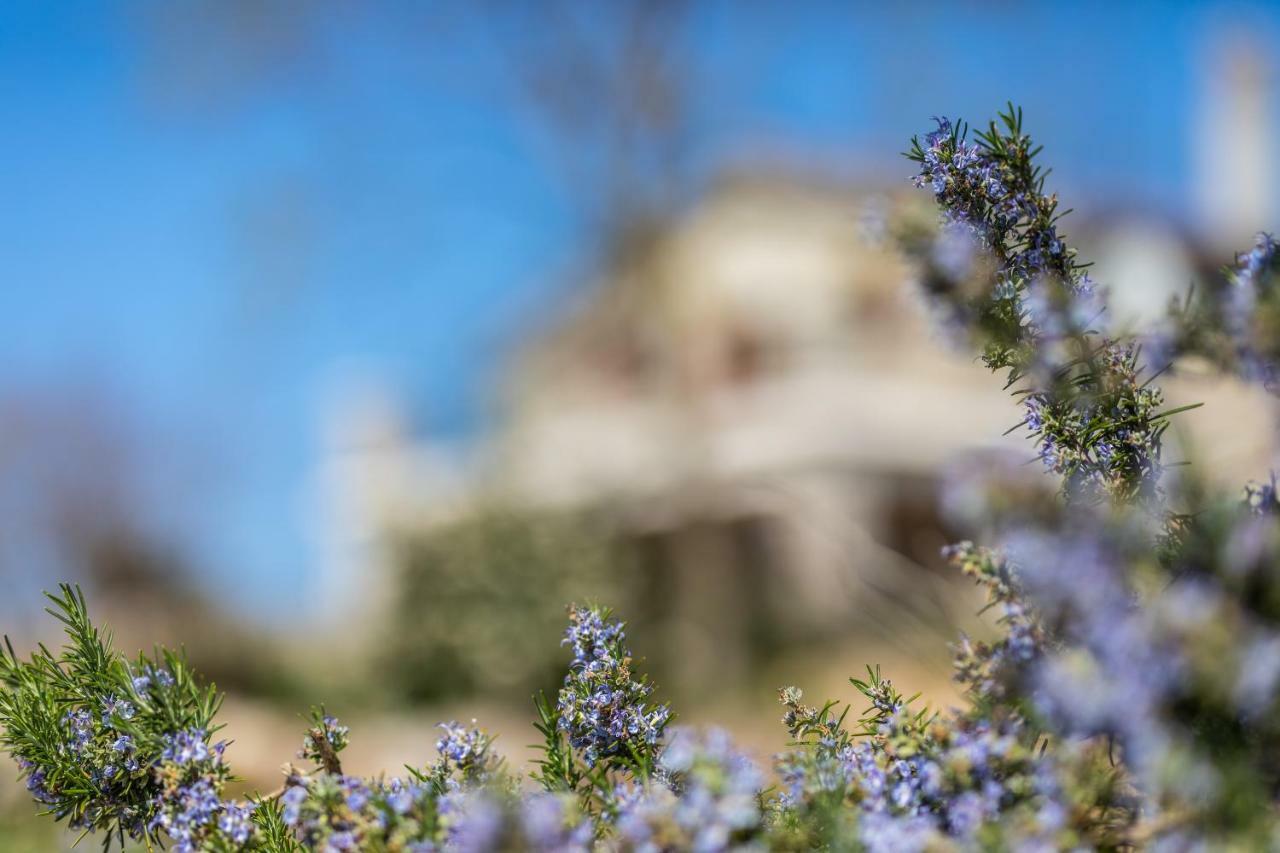 Villa Korina Pinezići Buitenkant foto